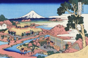 The tea plantation of Katakura in the Suruga province