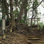 Kotonomama Hachimangu on the top of a moutain