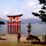  Itsukushima2 (Photo by Tanja Rauh)