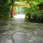 A road to Usa Jingu (Photo by Katchaman)