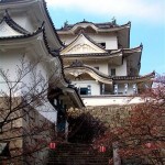 Iga Ueno Castle 1 ( Photo by Tanja Rauh)