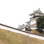 Kakegawa castle (Photo by Kotodamaya)