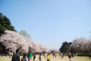 gyoen1(Photo by Kotodamaya)