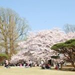 gyoen2(Photo by Kotodamaya)