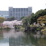 Korakuen2 (Photo by Kotodamaya)