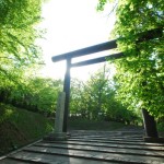 Hokkaido jingu2 (Photo by Kotodamaya)