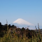 Mt.Fuji from Marie (photo by Kotodamaya)