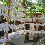 Kinomiya shrine2 (photo by Kotodamaya)