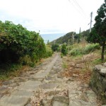 Approach to Udo shrine (Photo by Kotodamaya)